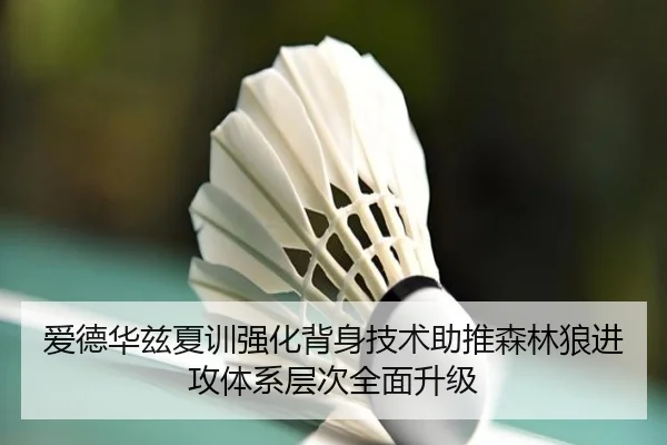 爱德华兹夏训强化背身技术助推森林狼进攻体系层次全面升级